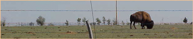 New Mexico Scenery